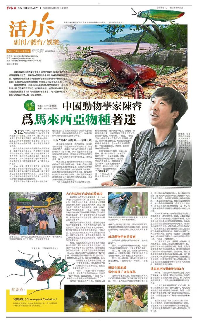 星洲日报对陈睿博士的报道