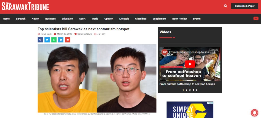 New Sarawak Tribune报道石探记